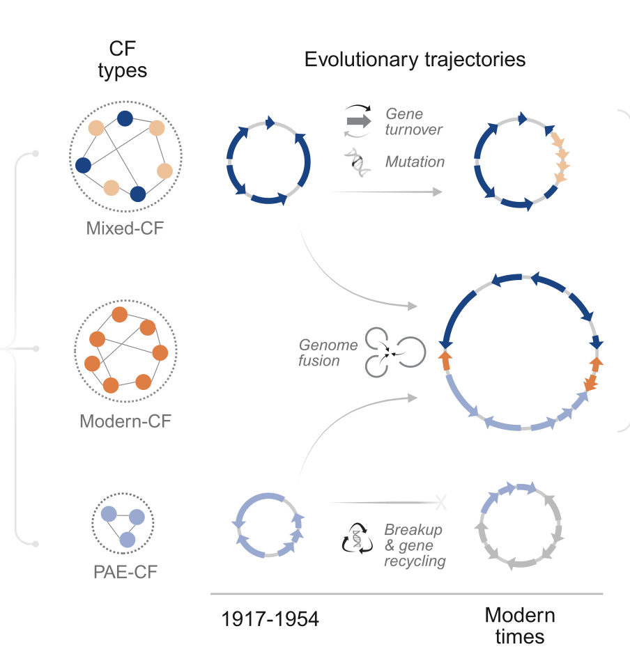 Sept 2025: Our paper on plasmid evolution over the antibiotic epoch is published! screenshot